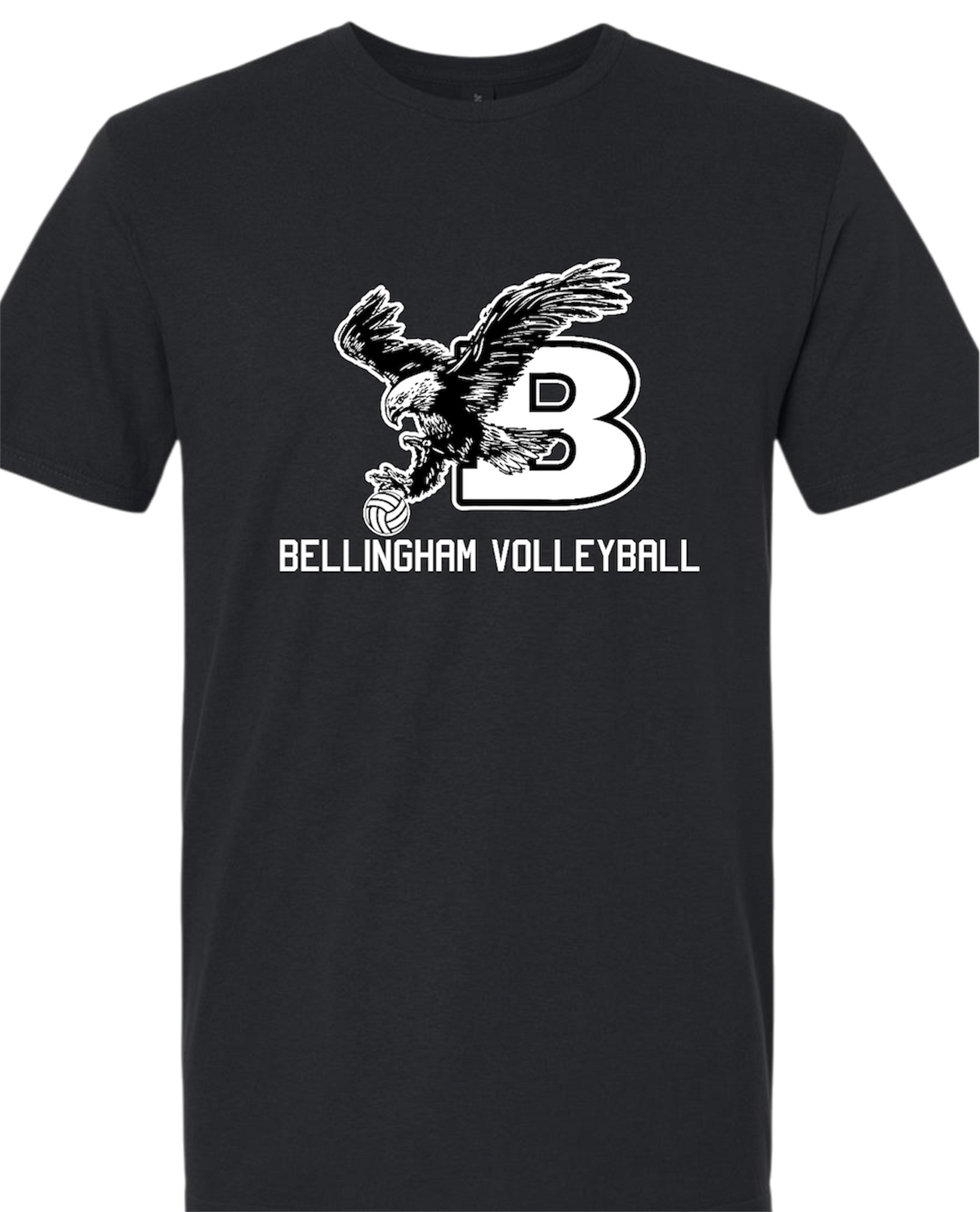 Bellingham Volleyball softstyle tshirt (unisex)