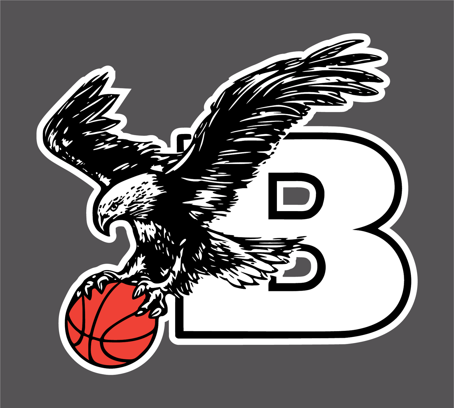 BELLINGHAM HAWKS HS BASKETBALL